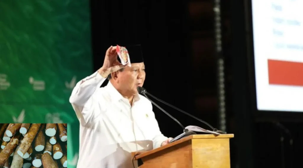 Pandangan NASA Indonesia Di Tangan Prabowo Bisa Mengatasi Kendala Krisis Pangan Dengan Singkong