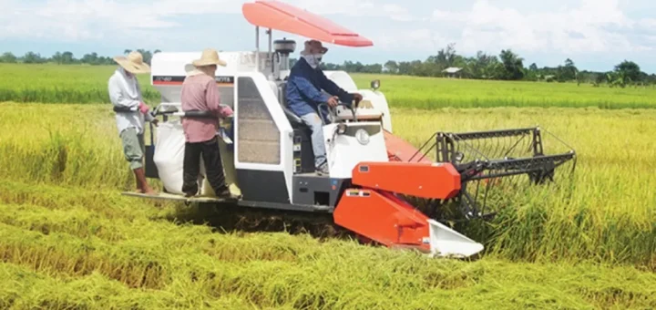Langkah Strategis Pemerintah Daerah! Transformasi Pertanian Menuju Pertanian Modern di Sulawesi Tengah