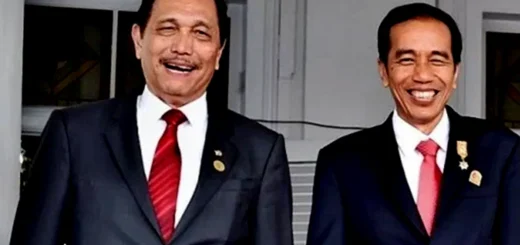 Orang Kaya Asia Melejit 383 Luhut dan Jokowi Akan Buat Family Office